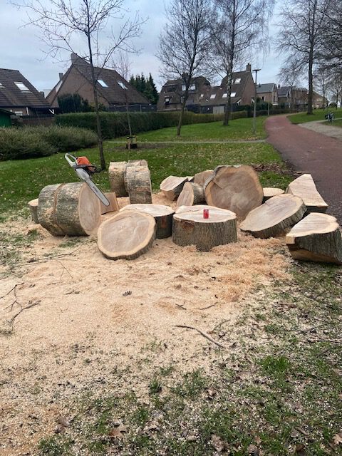 Brandhout zagen
